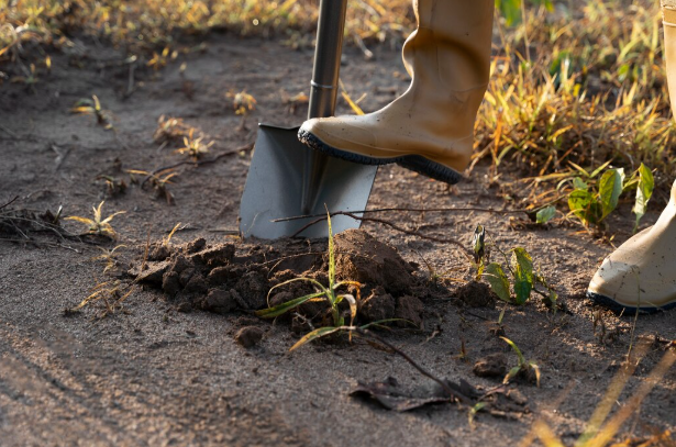 layanan-sondir-tanah-terjangkau-untuk-kulon-progo