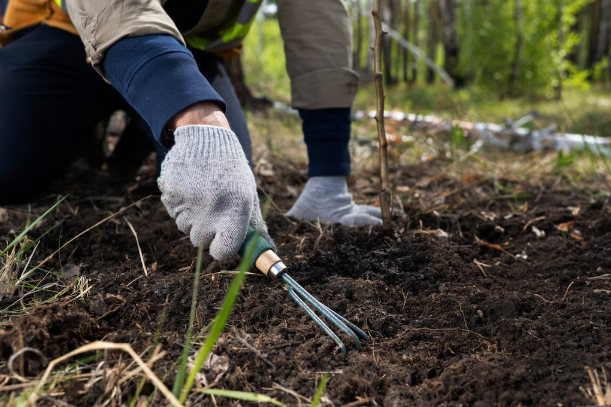 jasa-sondir-dan-pengujian-tanah-di-sulawesi-tengah