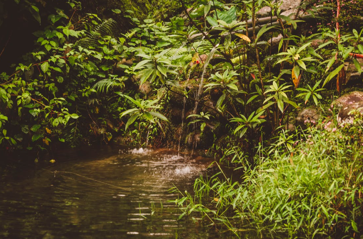 cara-mengurus-sipa-air-tanah-di-pekanbaru-dengan-mudah