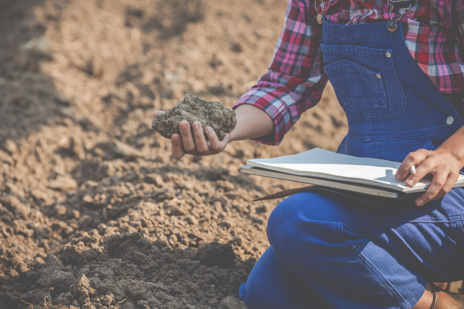 pengujian-tanah-profesional-untuk-konstruksi-di-palangka-raya