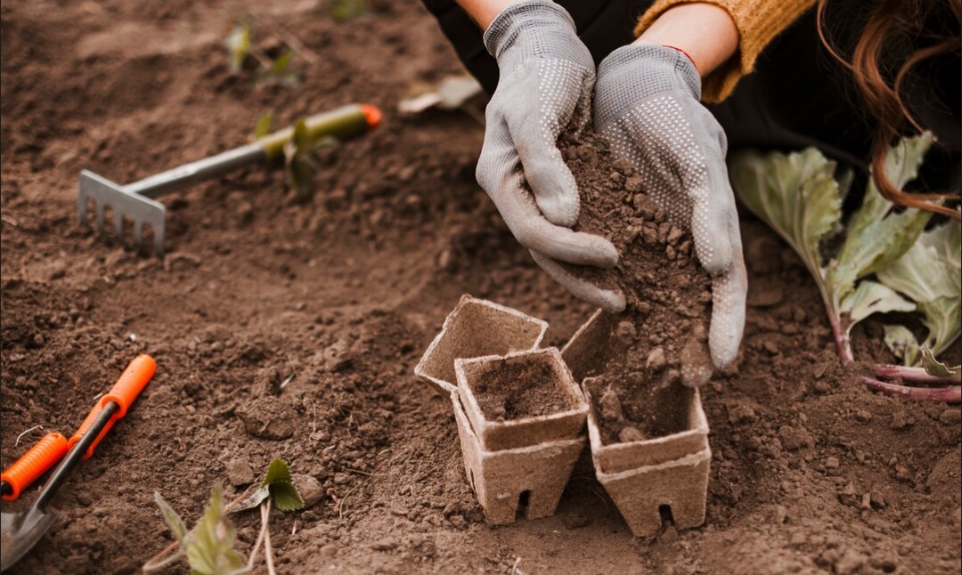 sebelum-gedung-menjulang-tanah-semarang-harus-bicara-sondir-kuncinya