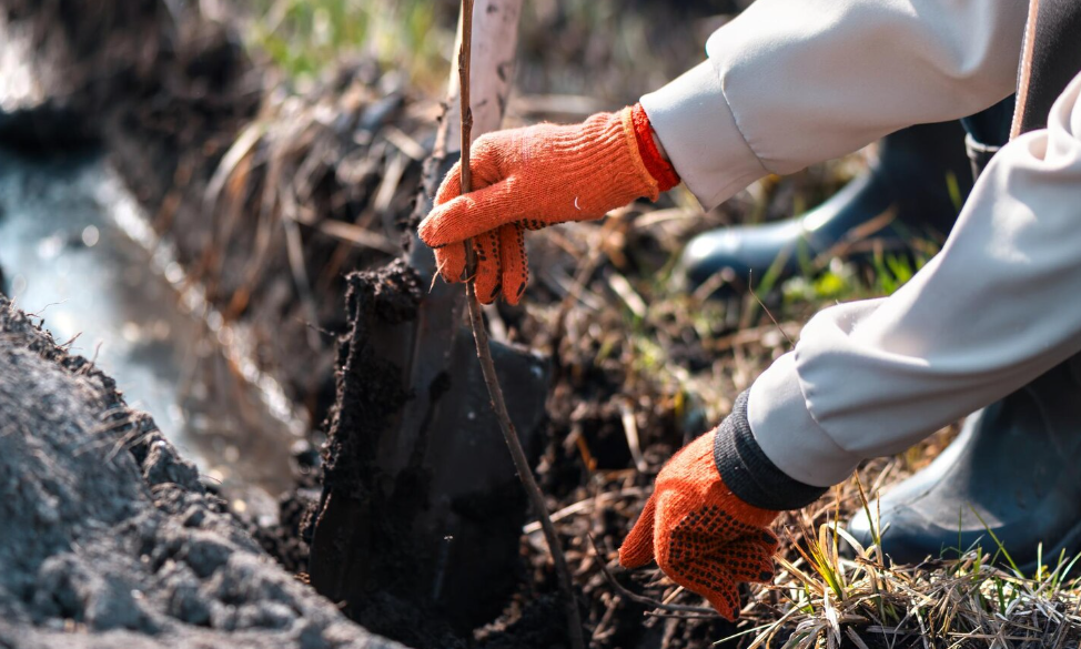 pengujian-tanah-langkah-kecil-dampak-besar