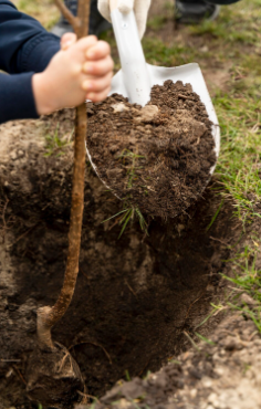 solusi-pengujian-tanah-cepat-dan-akurat-untuk-bangunan-kokoh